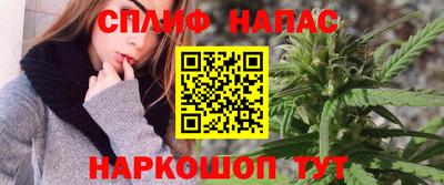 дживик Гусев